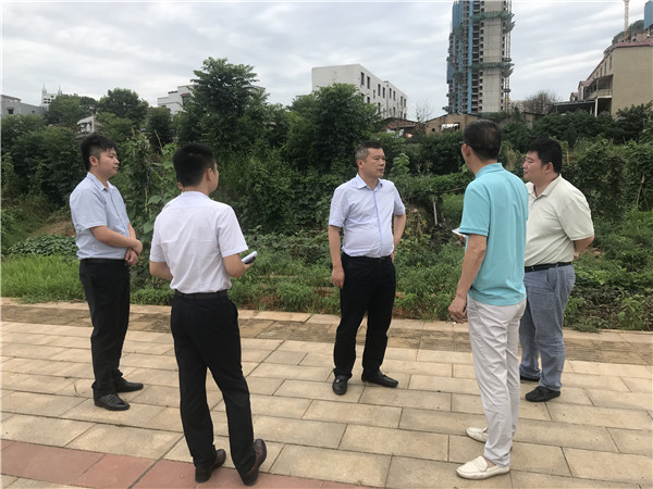 7月6日。黃勁松深入板塘片區(qū)重點(diǎn)項(xiàng)目調(diào)研.jpg
